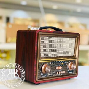 RAISENG رایزنگ رادیو رومیزی قهوه ای  R-2055