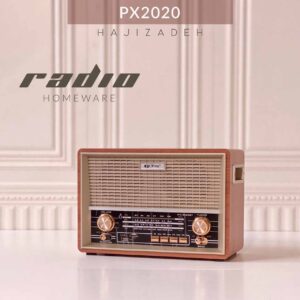PUXING پوژینگ  رادیو رومیزی  PX-2020BT