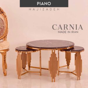KARNIA کارنیا  میز جلو مبلی 4 تیکه طرح سنگ پیانو طلایی  10993