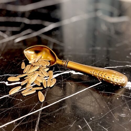 سالینو قاشق اجیل فلزی دسته پر  14746